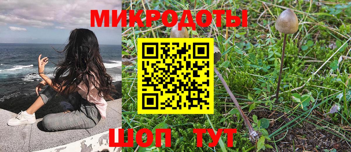 Галлюциногенные грибы прущие грибы Югорск